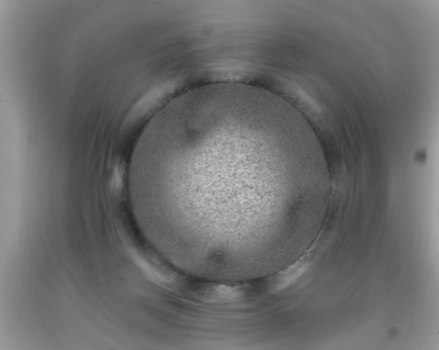 X0000092040166200709191107