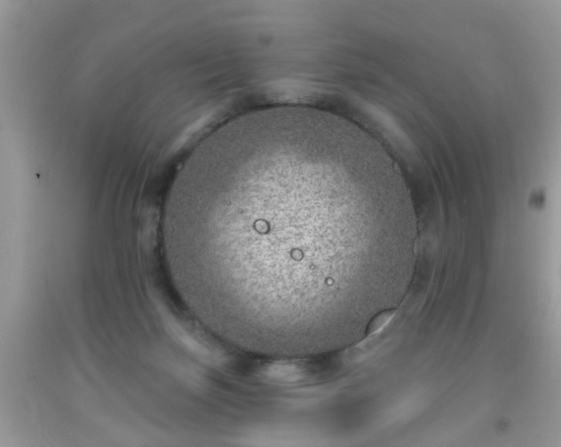 X0000092040171200709191107