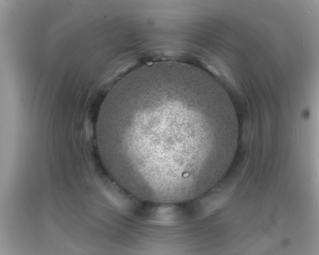 X0000092040173200709191107