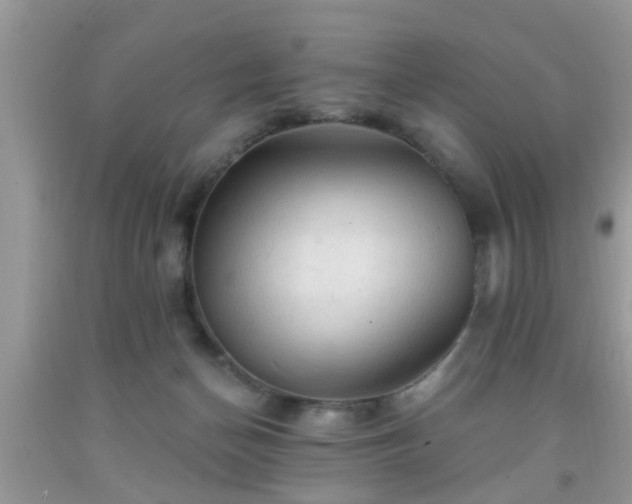 X0000092040174200709191107