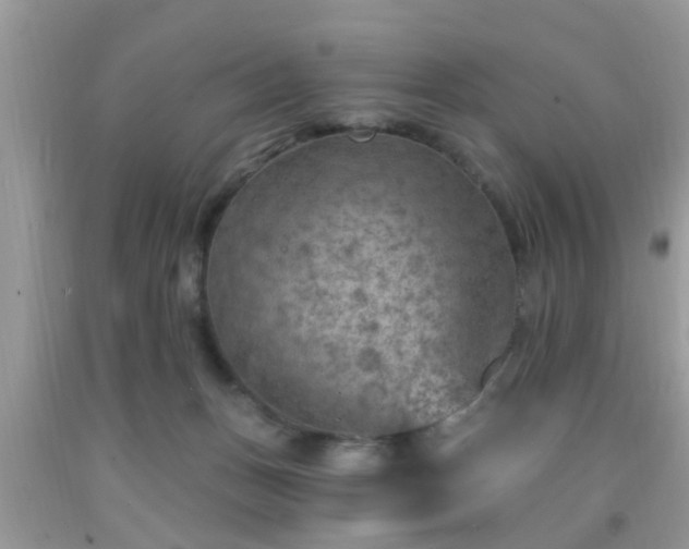 X0000092040175200709191107