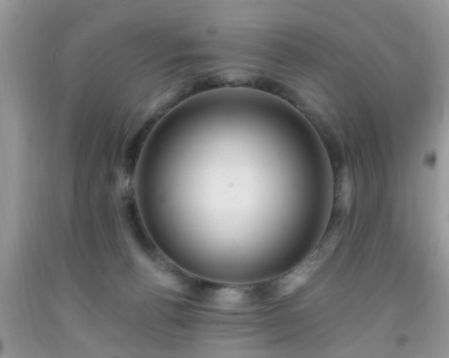 X0000092040176200709191107