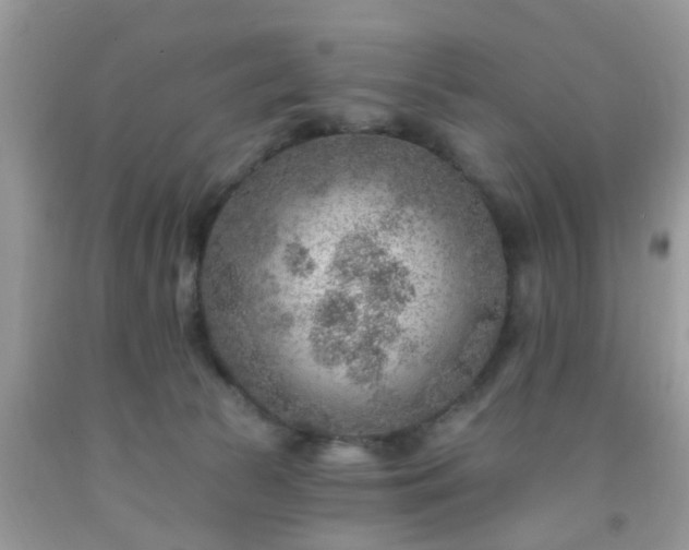 X0000092040177200709191107