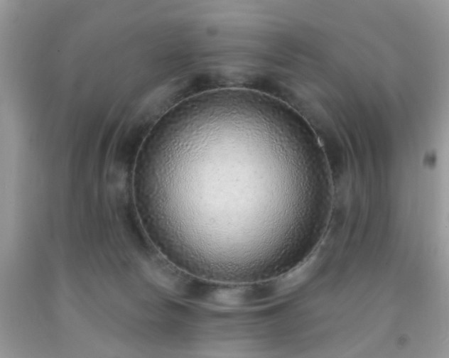 X0000092040178200709191107