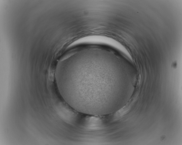 X0000092040180200709191107