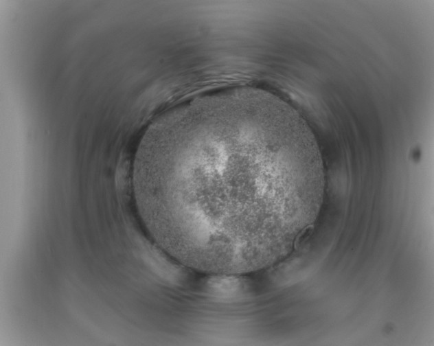 X0000092040181200709191107