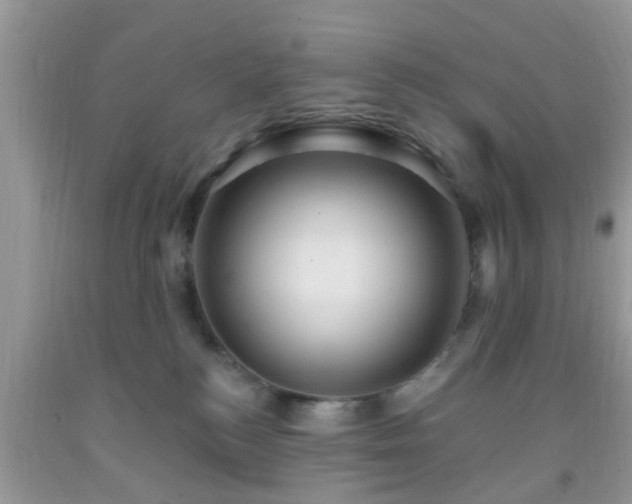 X0000092040184200709191108