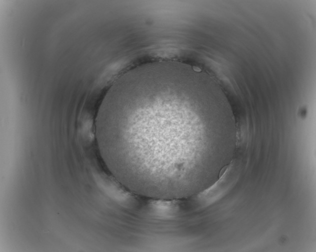 X0000092040187200709191108