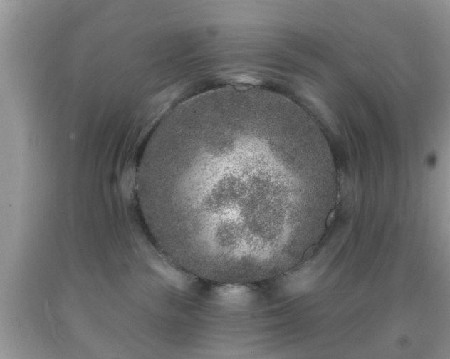 X0000092040189200709191108