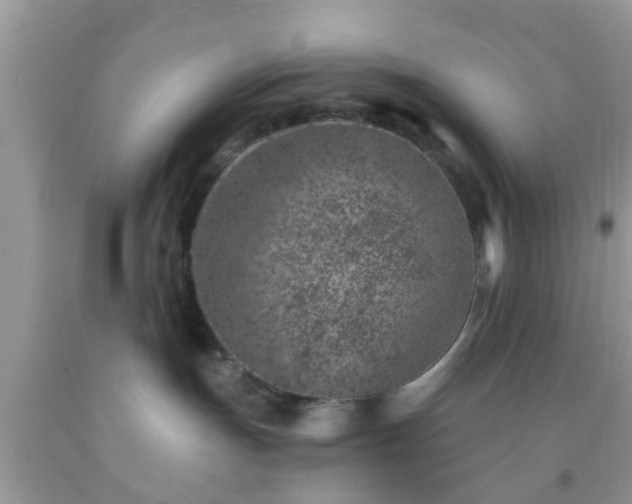 X0000092040191200709191108