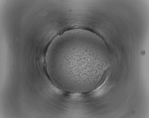 X0000092040192200709191108