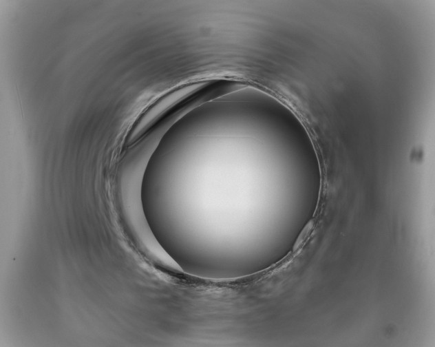 X0000092040193200709191107