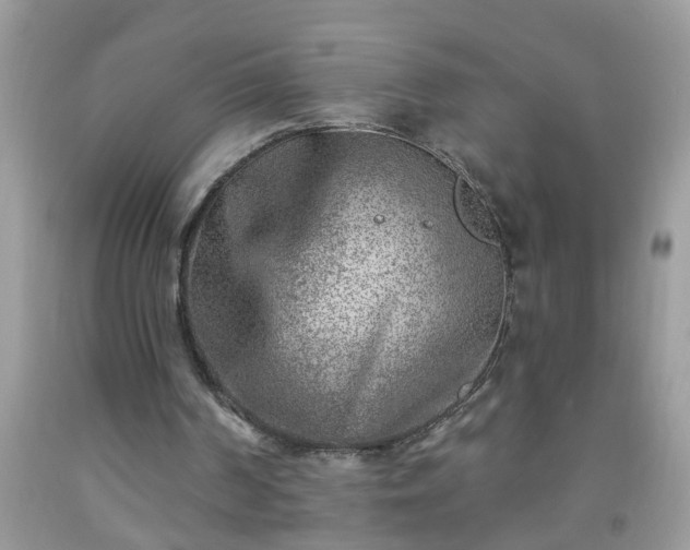 X0000092040194200709191107