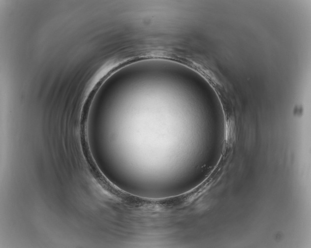 X0000092040195200709191107