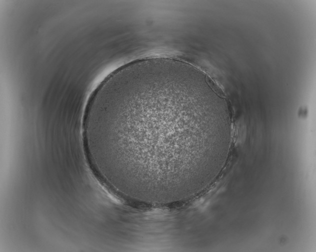 X0000092040196200709191107