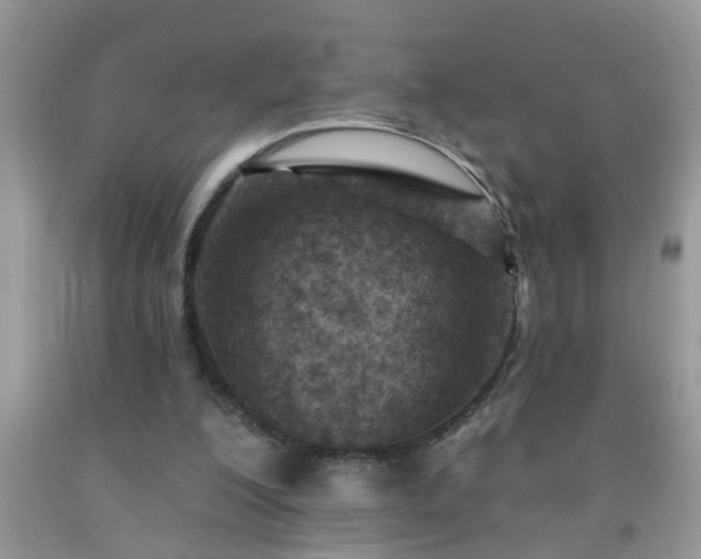 X0000092040200200709191107