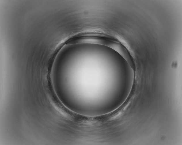 X0000092040201200709191107