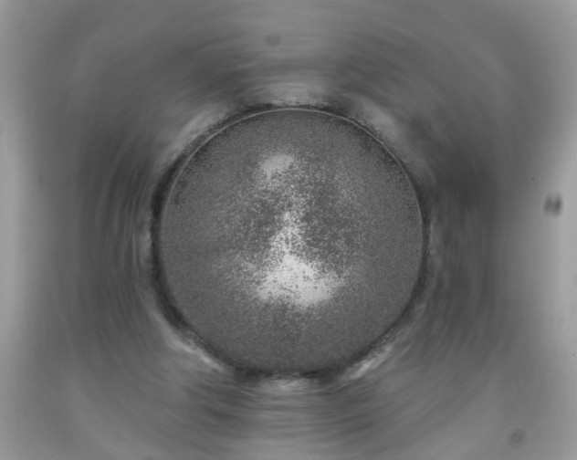 X0000092040202200709191107