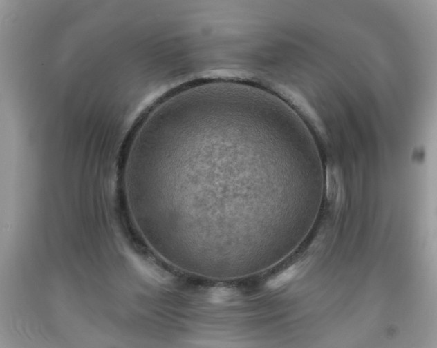 X0000092040204200709191107