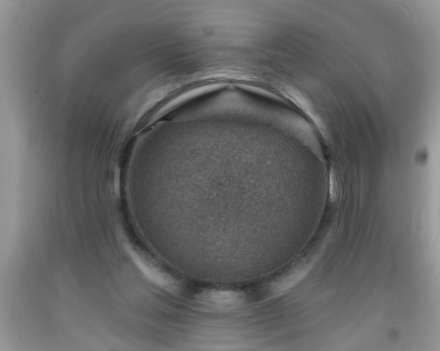 X0000092040205200709191107