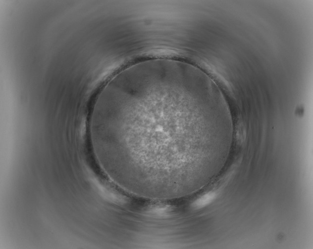 X0000092040206200709191107