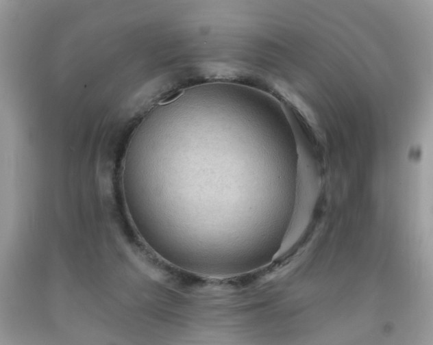 X0000092040209200709191107