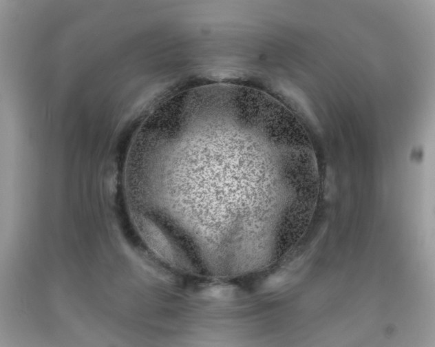 X0000092040210200709191107