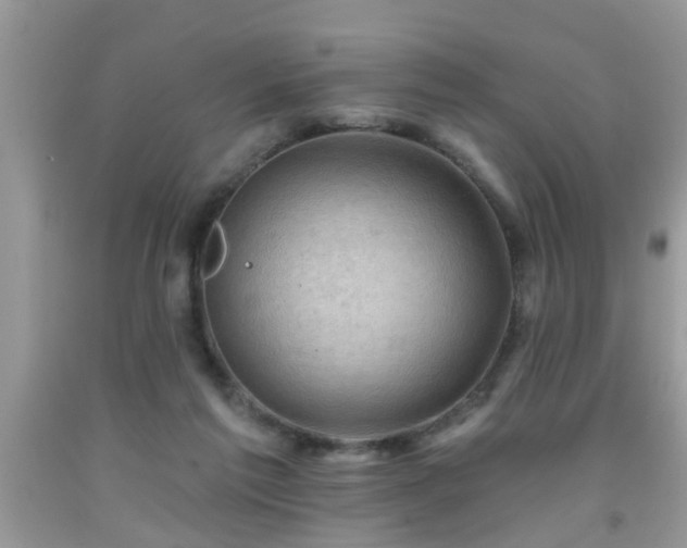 X0000092040213200709191107