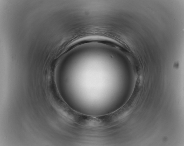 X0000092040215200709191107