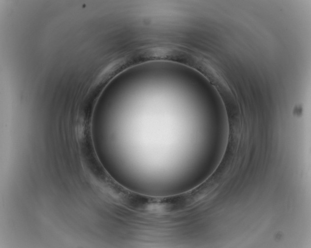 X0000092040216200709191107