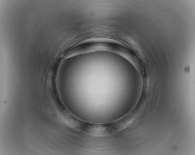 X0000092040217200709191107