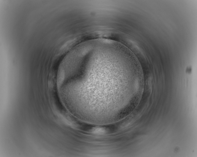 X0000092040218200709191107