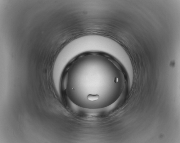 X0000092040219200709191107