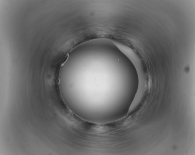 X0000092040221200709191107