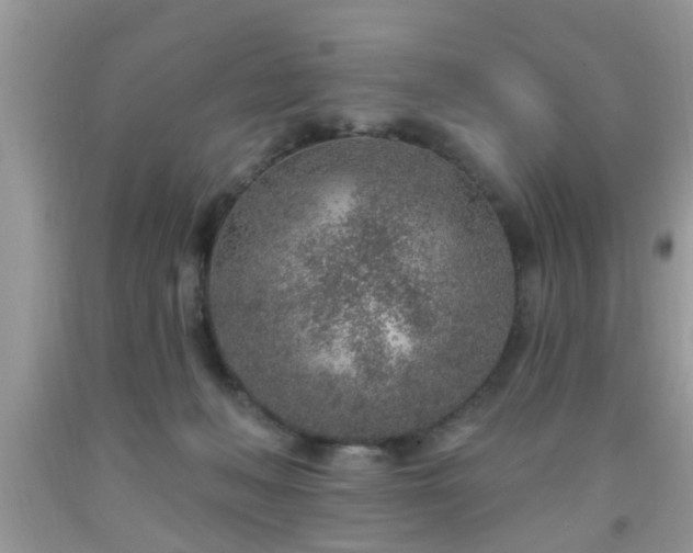 X0000092040222200709191107