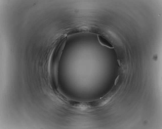 X0000092040223200709191107