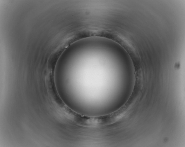 X0000092040225200709191107