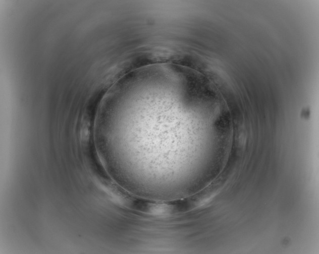 X0000092040226200709191107