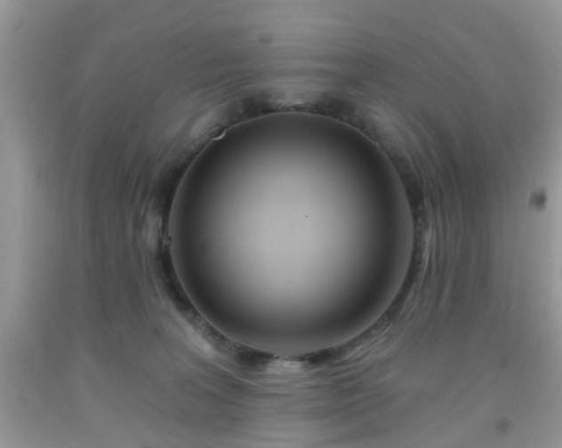 X0000092040227200709191107