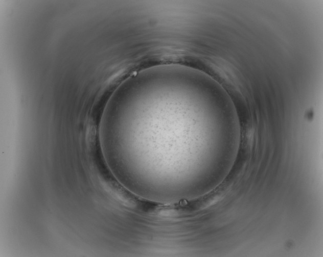 X0000092040228200709191107