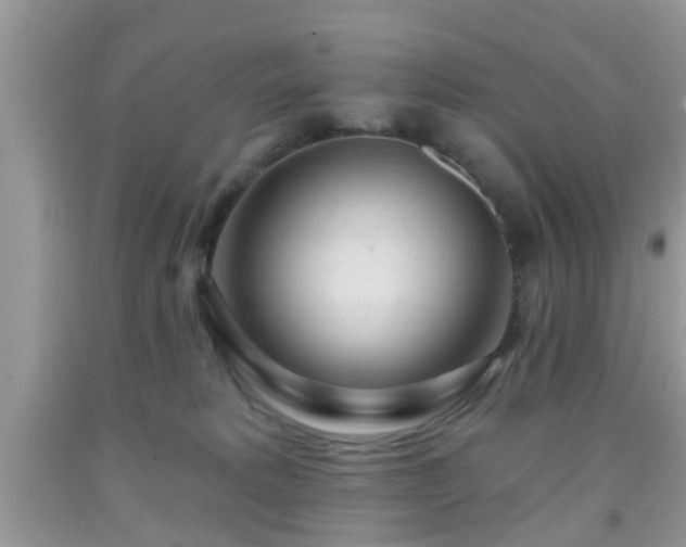 X0000092040229200709191107