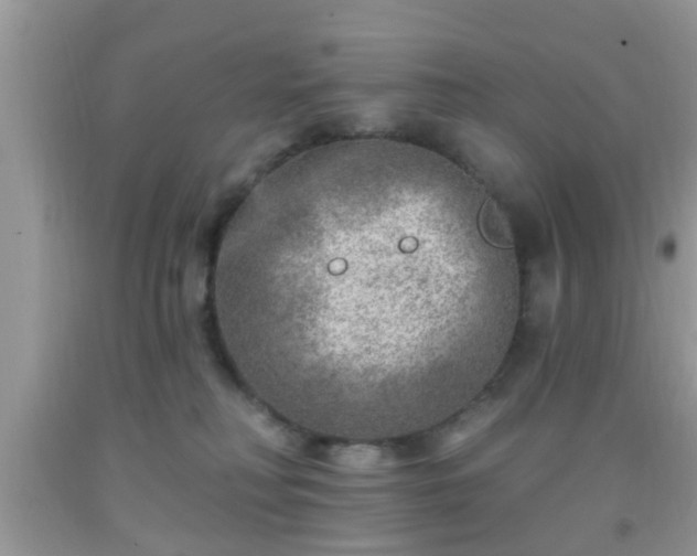 X0000092040230200709191107