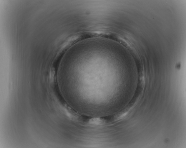 X0000092040231200709191107