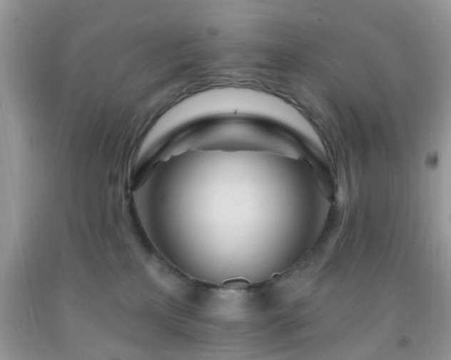 X0000092040233200709191107