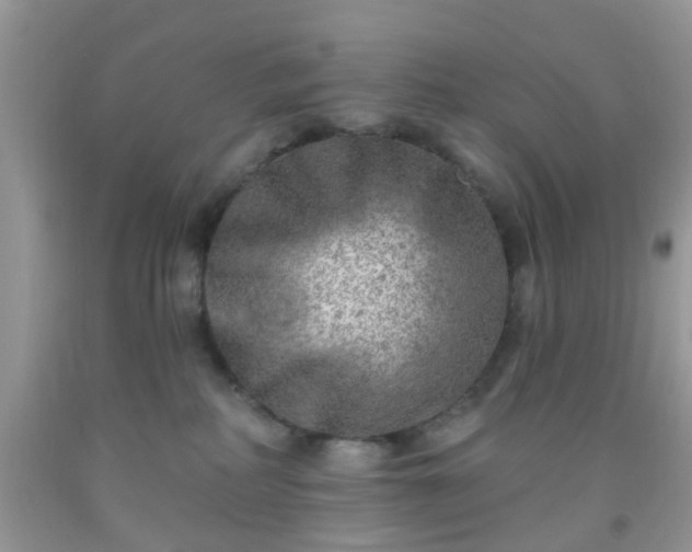 X0000092040234200709191107