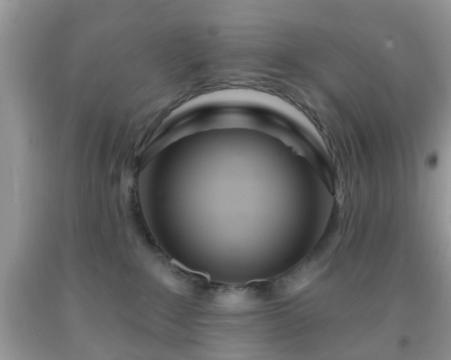 X0000092040235200709191107