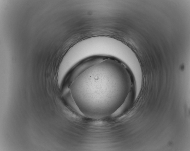 X0000092040237200709191106