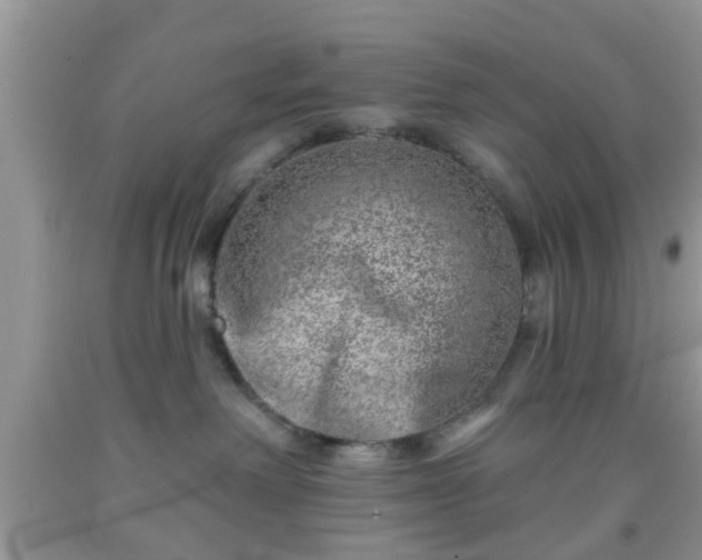 X0000092040238200709191106