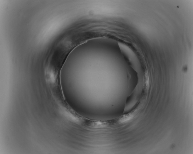 X0000092040239200709191106