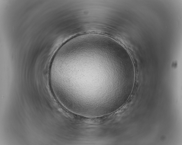 X0000092040241200709191106